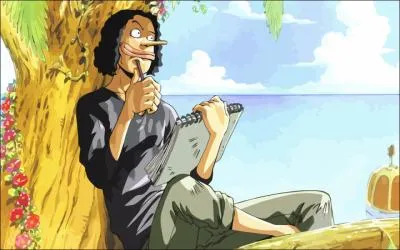 De quelle mer est originaire Usopp, le tireur d'lite ?