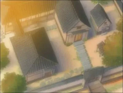 Dans quel village Roronoa Zorro a-t-il t lev ?