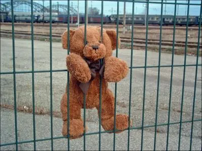 Oh le pauvre ! Ce nounours est ...