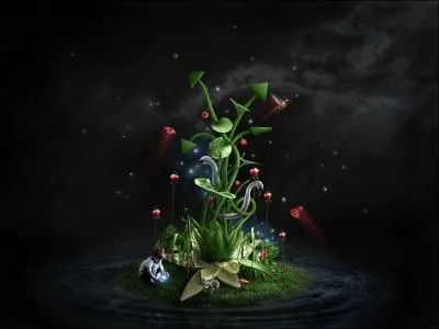 Qu'est-ce qui est reprsente sur l'image ?