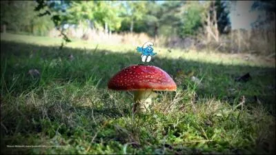 Qu'est-ce qui est petit et bleu ?