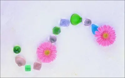 Quelle lettre forment ces coquillages ?