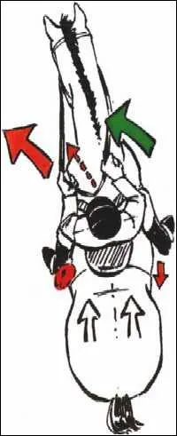 Le terme  jambe de position  signifie ...