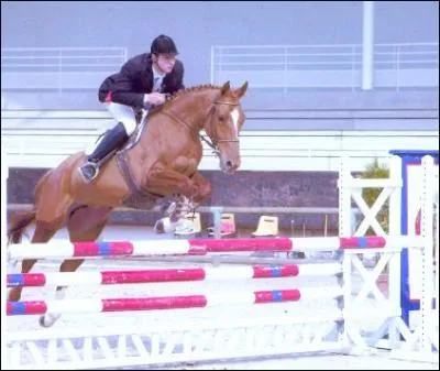 Sur un terrain de concours, le sens de l'obstacle est dfini par ...