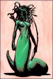 Nous sommes trois soeurs. Nous sommes terrifiantes, notre tte est norme et hrisse d'une chevelure viprine. Nous ptrifions qui nous regarde. Nous sommes :