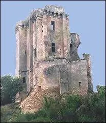 Quelle partie du château abritait les appartements du seigneur ?