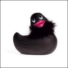 Que pouvez-vous dire de la barbacane ?