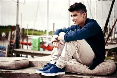 Selon Louis, dans une Vido Diary, Zayn est :