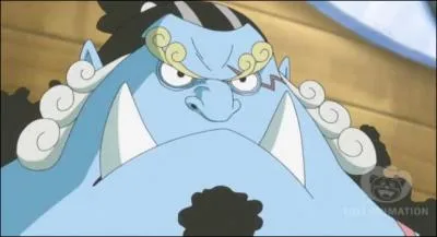 Pourquoi jimbei ne veut-il pas rejoindre (tout de suite) l'quipage de Luffy ?
