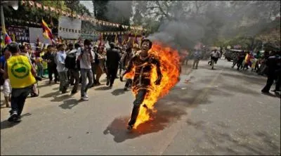 Beaucoup moins drle, mais fort heureusement, cette photo est truque !