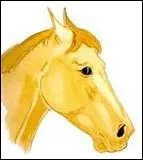 Ce cheval a les oreilles en arrire, donc il est...