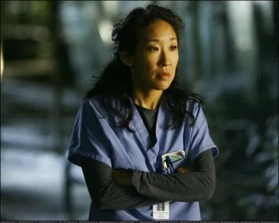 Comment s'appelle l'actrice qui joue Christina Yang ?