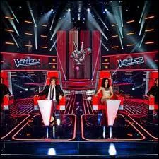 Quel tait le sort d' un candidat buzz par un membre du jury lors des slections  l'aveugle ?