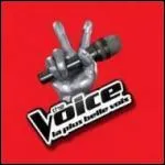 Quelle est l'origine du concept de l'mission   The Voice   ?