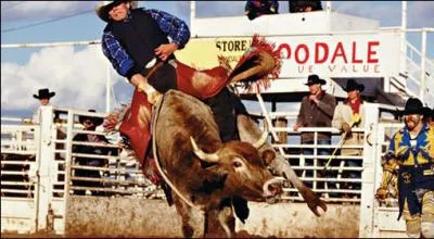 Le taureau est vnr par les gyptiens !