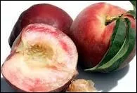 Comment appelle-t-on les pches en allemand ?