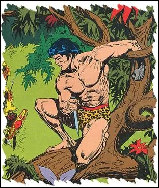 Dans les années 80, quel groupe à la carrière météoritique a chanté ''Tarzan Boy'' ?