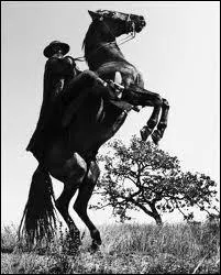 ''Et et... Zorro est arrivé / Sans s'presser / Le grand Zorro / Le beau Zorro / Avec ---------------------'' (Henri Salvador)