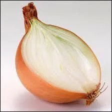 Comment appelle-t-on l'oignon en allemand ?