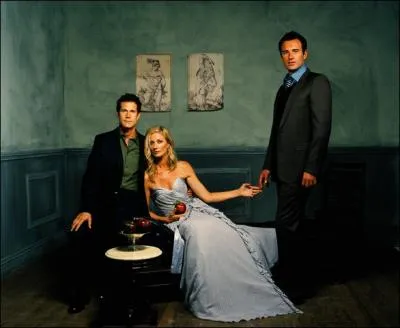 Dans quelle srie retrouve-t-on Sean, Julia et Christian ?