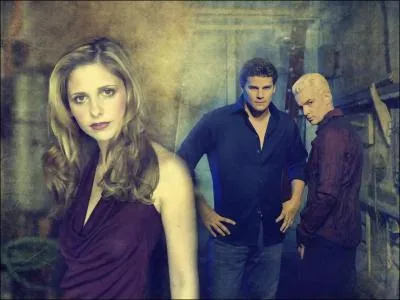 Dans quelle srie retrouve-t-on Buffy, Spike et Angel ?