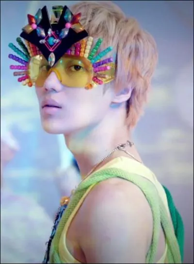 Quel nom porte son fan club ?