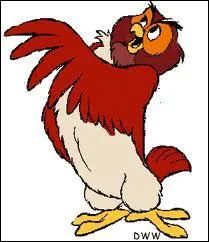 Replacez le dernier hibou dans le bon dessin anim.