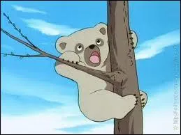 Comment s'appelle la soeur de Bouba, le petit ourson orphelin ?