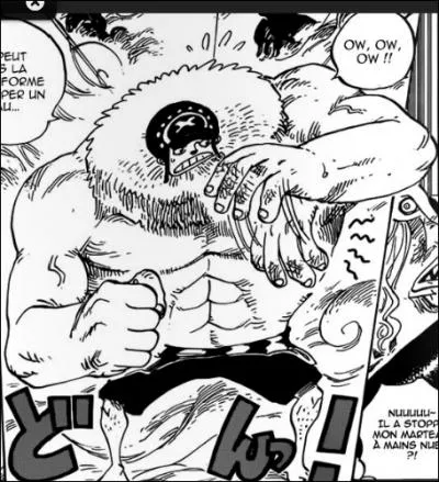 Combien de formes Chopper a-t-il amlior ou invent ?