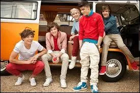 A Sydney, deux des garons ont fait du saut  l'lastique, lesquels ?