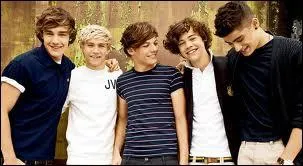 Un magasin spcialis dans les articles des One Direction est en cours de construction, mais o ?