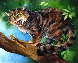 Dans le tome 2, quel clan est chass de ses terres ?