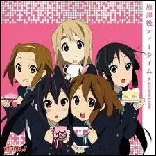 Quel est le nom de leur groupe de musique ?