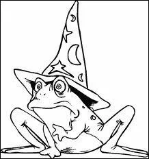 Quel grand sorcier est all  Serpentard ?