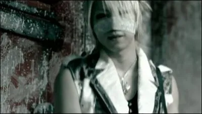 Quel est le titre du clip ?