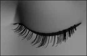 Le mot commence par : Per ...