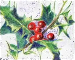 Le mot commence par : Per ...