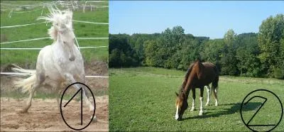 Qui est dans l'impulsion ?