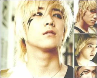 A quel groupe appartient-il ?