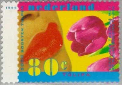 Comme l'explique ce timbre des Pays-Bas, Amlie se surnomme  l'poque  Le Tube , mais pourquoi ?