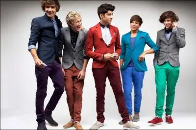 Pourquoi ont-ils t arrts sur le tournage du clip  What Makes You Beautiful  ?