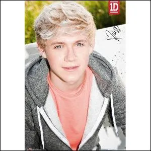 Quelle star Niall admire-t-il ?