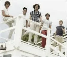 Dans quel clip chantent-ils sur la plage ?