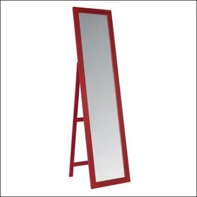 Qui passe le plus de temps devant son miroir ?