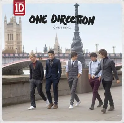 Dans quelle ville ont-ils tourn leur clip  One Thing  ?