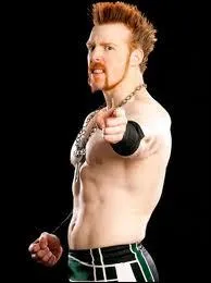 D'o est originaire Sheamus ?