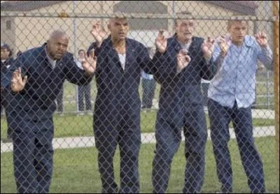 Qu'est-ce qu'ils regardent ?