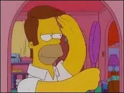 A qui appartiennent les cheveux qu'Homer a eus aprs la mort du possesseur ?