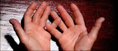 Que faites-vous de vos mains ?