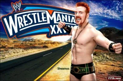 Qu'a remport Sheamus  Wrestlemania 28 ?